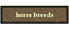 horse breeds