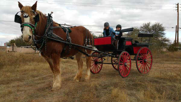 Ruby Wagon 002.jpg (61762 bytes)