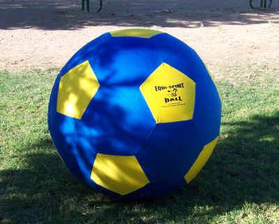 Soccer Ball 001.jpg (39271 bytes)